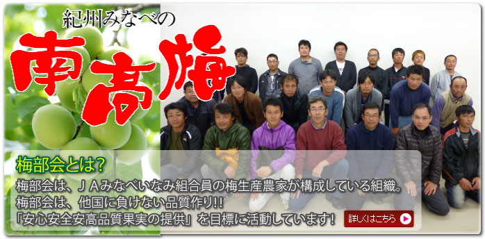 梅部会は、JAみなべいなみ組合員の梅生産農家が校正している組織。