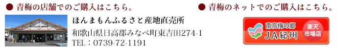 青梅の店舗購入はこちら。ほんまもんふるさと産直市場