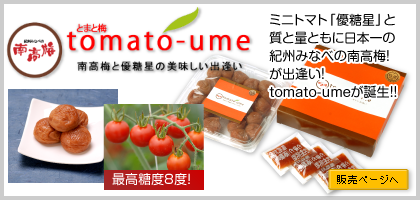 tomato-ume